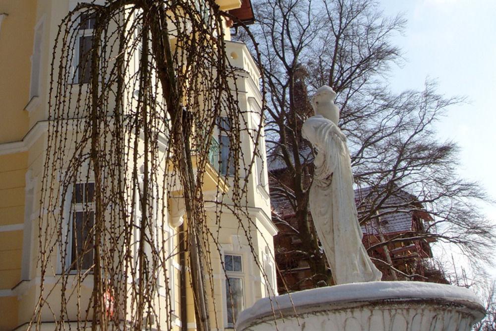 Villa Regent Spa & Wellness Mariánské Lázně Kültér fotó
